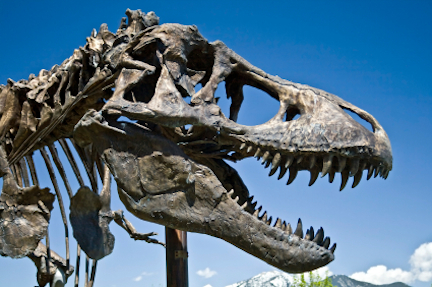 dinosaur