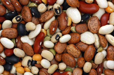 drybeans