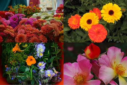 edibleflowers