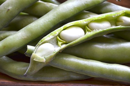 favas