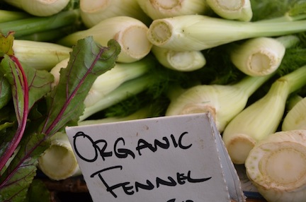 fennel
