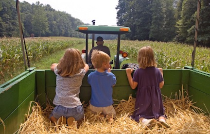 fieldtrip