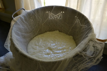 greekyogurt