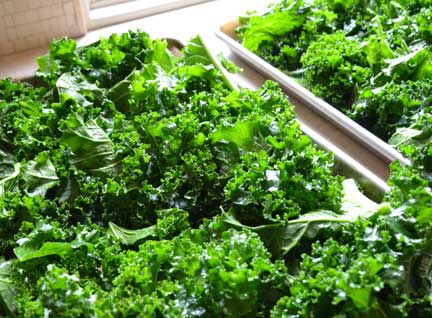 kale2
