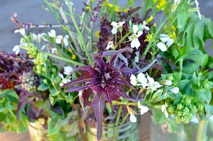 lettucebouquet