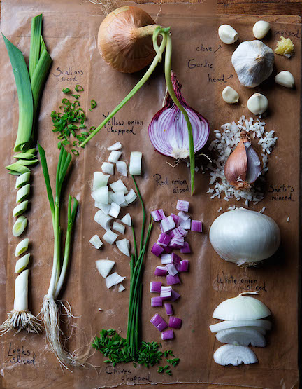 for Lauri David's Cookbook, "Family Cooks."