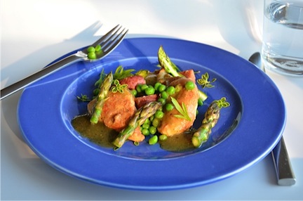springchicken