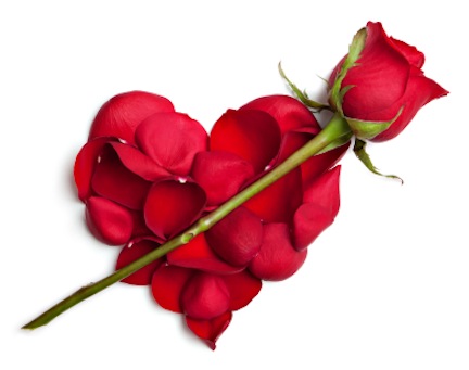 valentinesrose