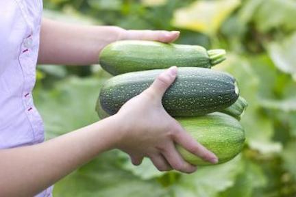 zucchinihands